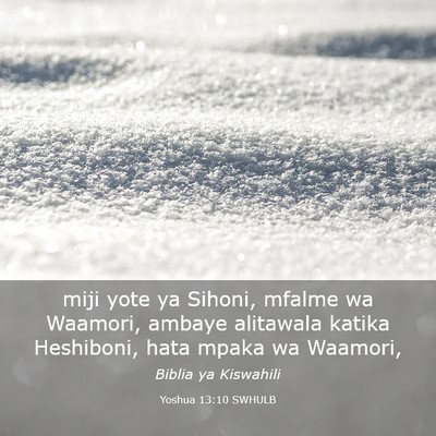 Picture 03 - Yoshua 13:10 SWHULB - miji yote ya Sihoni, mfalme wa Waamori, ambaye - Bible Verse Picture