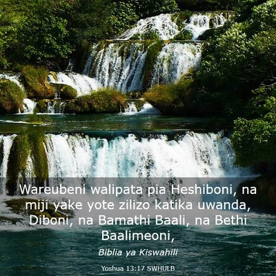 Picture 03 - Yoshua 13:17 SWHULB - Wareubeni walipata pia Heshiboni, na miji yake - Bible Verse Picture