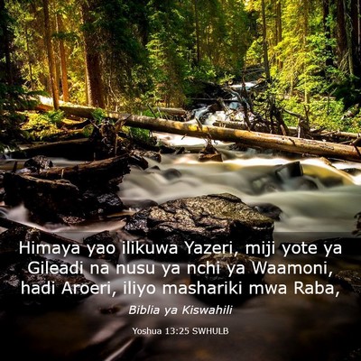 Picture 03 - Yoshua 13:25 SWHULB - Himaya yao ilikuwa Yazeri, miji yote ya Gileadi - Bible Verse Picture
