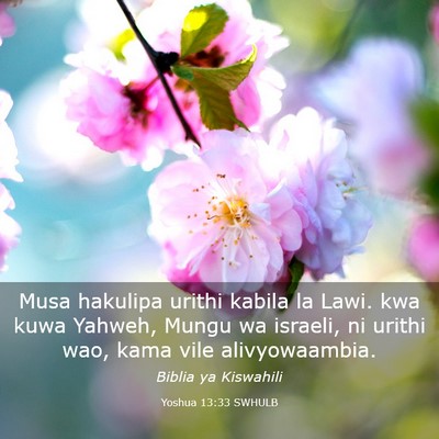 Picture 03 - Yoshua 13:33 SWHULB - Musa hakulipa urithi kabila la Lawi. kwa kuwa - Bible Verse Picture