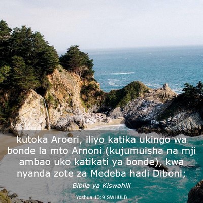 Picture 03 - Yoshua 13:9 SWHULB - kutoka Aroeri, iliyo katika ukingo wa bonde la - Bible Verse Picture