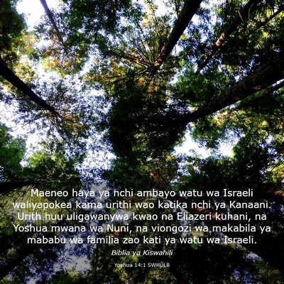 Picture 03 - Yoshua 14:1 SWHULB - Maeneo haya ya nchi ambayo watu wa Israeli - Bible Verse Picture