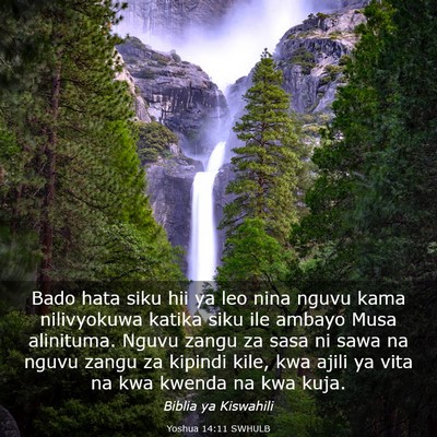 Picture 03 - Yoshua 14:11 SWHULB - Bado hata siku hii ya leo nina nguvu kama - Bible Verse Picture