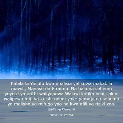 Picture 03 - Yoshua 14:4 SWHULB - Kabila la Yusufu kwa uhalisia yalikuwa makabila - Bible Verse Picture