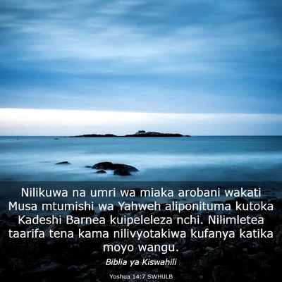 Picture 03 - Yoshua 14:7 SWHULB - Nilikuwa na umri wa miaka arobani wakati Musa - Bible Verse Picture
