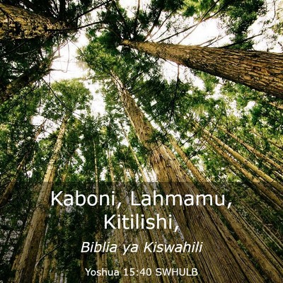 Picture 03 - Yoshua 15:40 SWHULB - Kaboni, Lahmamu, - Bible Verse Picture