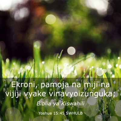 Picture 03 - Yoshua 15:45 SWHULB - Ekroni, pamoja na miji na vijiji vyake - Bible Verse Picture