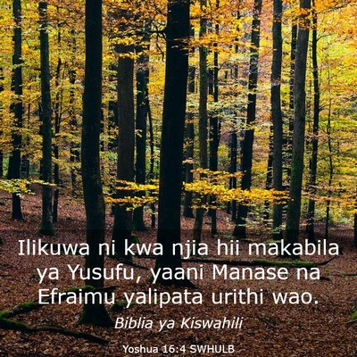 Picture 03 - Yoshua 16:4 SWHULB - Ilikuwa ni kwa njia hii makabila ya Yusufu, yaani - Bible Verse Picture
