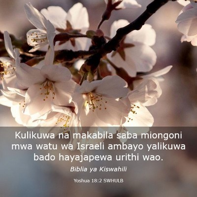 Picture 03 - Yoshua 18:2 SWHULB - Kulikuwa na makabila saba miongoni mwa watu wa - Bible Verse Picture