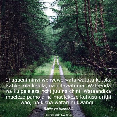 Picture 03 - Yoshua 18:4 SWHULB - Chagueni ninyi wenyewe watu watatu kutoka katika - Bible Verse Picture