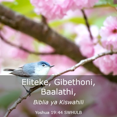 Picture 03 - Yoshua 19:44 SWHULB - Eliteke, Gibethoni, - Bible Verse Picture