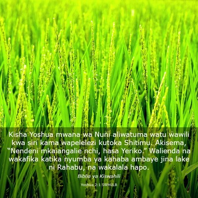 Picture 03 - Yoshua 2:1 SWHULB - Kisha Yoshua mwana wa Nuni aliwatuma watu wawili - Bible Verse Picture