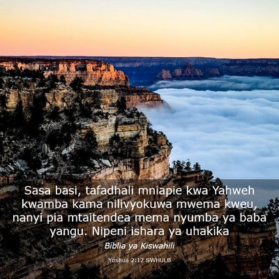 Picture 03 - Yoshua 2:12 SWHULB - Sasa basi, tafadhali mniapie kwa Yahweh kwamba - Bible Verse Picture