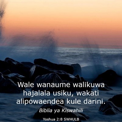 Picture 03 - Yoshua 2:8 SWHULB - Wale wanaume walikuwa hajalala usiku, wakati - Bible Verse Picture