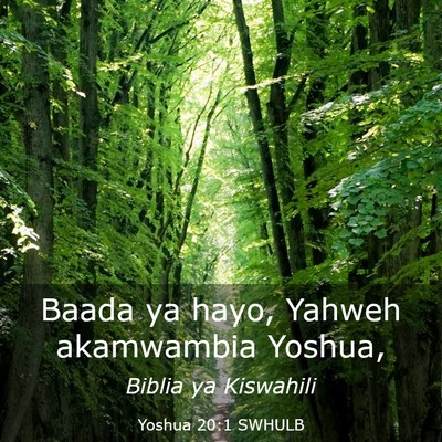 Picture 03 - Yoshua 20:1 SWHULB - Baada ya hayo, Yahweh akamwambia - Bible Verse Picture