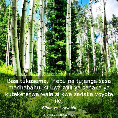 Picture 03 - Yoshua 22:26 SWHULB - Basi tukasema, 'Hebu na tujenge sasa madhabahu, - Bible Verse Picture
