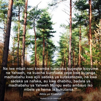 Picture 03 - Yoshua 22:29 SWHULB - Na iwe mbali nasi kwamba tunataka kugeuka kinyume - Bible Verse Picture