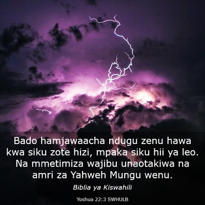 Picture 03 - Yoshua 22:3 SWHULB - Bado hamjawaacha ndugu zenu hawa kwa siku zote - Bible Verse Picture