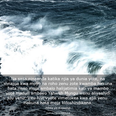 Picture 03 - Yoshua 23:14 SWHULB - Na sasa ninaenda katika njia ya dunia yote, na - Bible Verse Picture