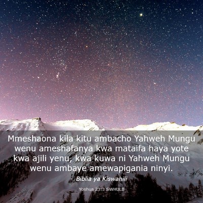 Picture 03 - Yoshua 23:3 SWHULB - Mmeshaona kila kitu ambacho Yahweh Mungu wenu - Bible Verse Picture