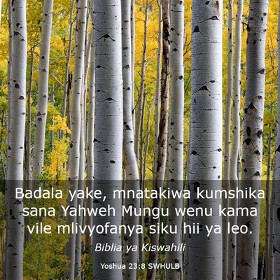 Picture 03 - Yoshua 23:8 SWHULB - Badala yake, mnatakiwa kumshika sana Yahweh Mungu - Bible Verse Picture