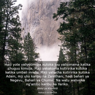 Picture 03 - Yoshua 3:16 SWHULB - maji yote yaliyotiririka kutoka juu yalisimama - Bible Verse Picture