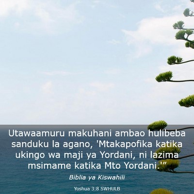 Picture 03 - Yoshua 3:8 SWHULB - Utawaamuru makuhani ambao hulibeba sanduku la - Bible Verse Picture