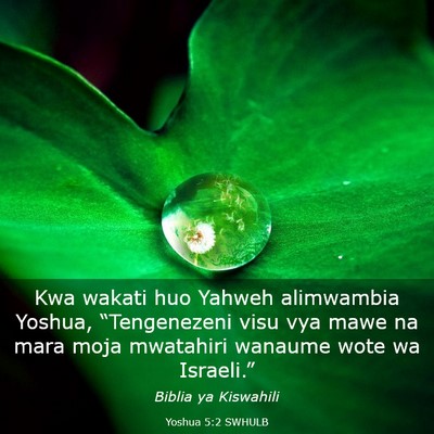 Picture 03 - Yoshua 5:2 SWHULB - Kwa wakati huo Yahweh alimwambia Yoshua, - Bible Verse Picture