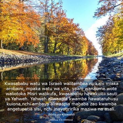 Picture 03 - Yoshua 5:6 SWHULB - Kwasababu watu wa Israeli walitembea nyikani - Bible Verse Picture