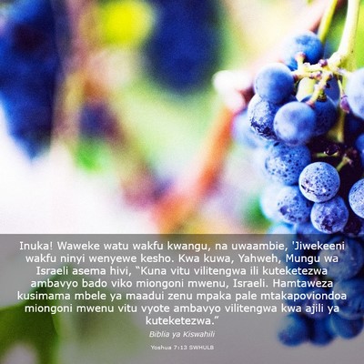 Picture 03 - Yoshua 7:13 SWHULB - Inuka! Waweke watu wakfu kwangu, na uwaambie, - Bible Verse Picture