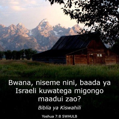 Picture 03 - Yoshua 7:8 SWHULB - Bwana, niseme nini, baada ya Israeli kuwatega - Bible Verse Picture