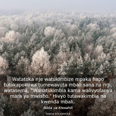 Picture 03 - Yoshua 8:6 SWHULB - Watatoka nje watukimbize mpaka hapo tutakapokuwa - Bible Verse Picture