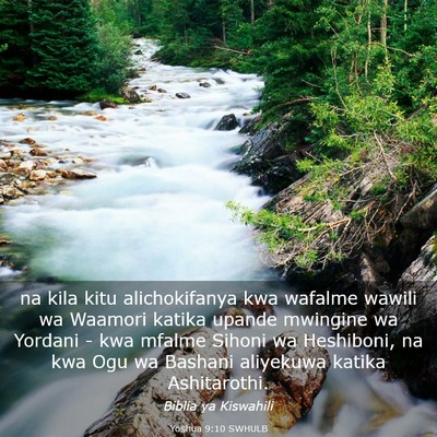 Picture 03 - Yoshua 9:10 SWHULB - na kila kitu alichokifanya kwa wafalme wawili wa - Bible Verse Picture
