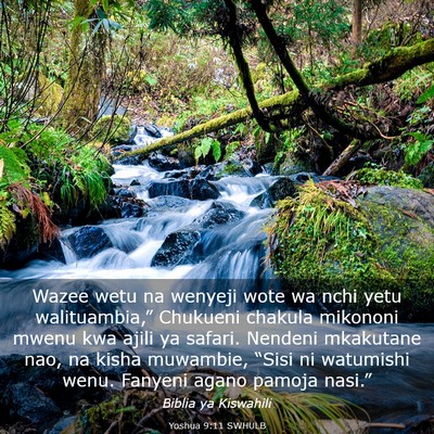 Picture 03 - Yoshua 9:11 SWHULB - Wazee wetu na wenyeji wote wa nchi yetu - Bible Verse Picture