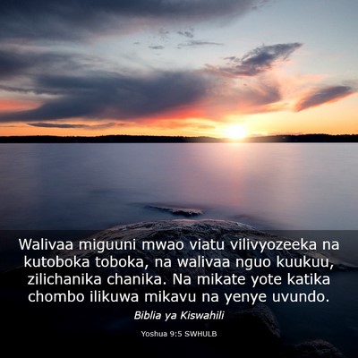 Picture 03 - Yoshua 9:5 SWHULB - Walivaa miguuni mwao viatu vilivyozeeka na - Bible Verse Picture