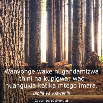 Picture 03 - Zaburi 10:10 SWHULB - Wanyonge wake hugandamizwa chini na kupigwa; wao - Bible Verse Picture