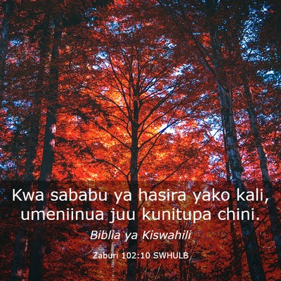 Picture 03 - Zaburi 102:10 SWHULB - Kwa sababu ya hasira yako kali, umeniinua juu - Bible Verse Picture