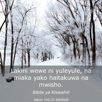 Picture 03 - Zaburi 102:27 SWHULB - Lakini wewe ni yuleyule, na miaka yako haitakuwa - Bible Verse Picture