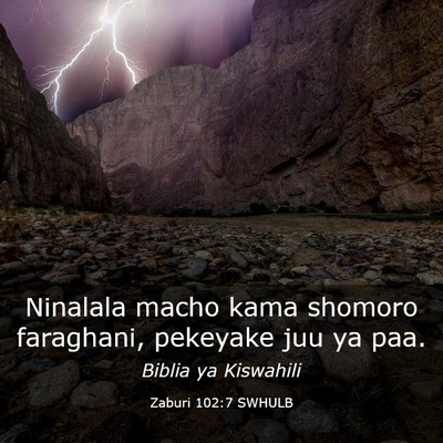 Picture 03 - Zaburi 102:7 SWHULB - Ninalala macho kama shomoro faraghani, pekeyake - Bible Verse Picture