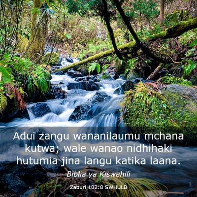 Picture 03 - Zaburi 102:8 SWHULB - Adui zangu wananilaumu mchana kutwa; wale wanao - Bible Verse Picture