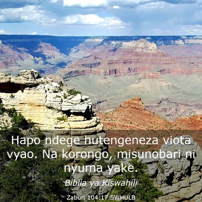 Picture 03 - Zaburi 104:17 SWHULB - Hapo ndege hutengeneza viota vyao. Na korongo, - Bible Verse Picture