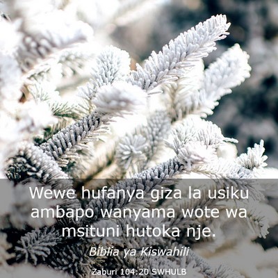 Picture 03 - Zaburi 104:20 SWHULB - Wewe hufanya giza la usiku ambapo wanyama wote wa - Bible Verse Picture