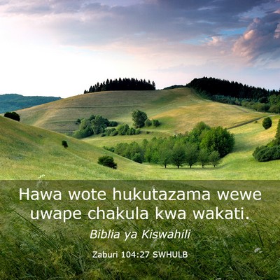 Picture 03 - Zaburi 104:27 SWHULB - Hawa wote hukutazama wewe uwape chakula kwa - Bible Verse Picture