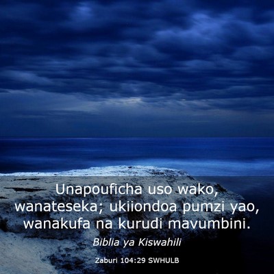 Picture 03 - Zaburi 104:29 SWHULB - Unapouficha uso wako, wanateseka; ukiiondoa pumzi - Bible Verse Picture