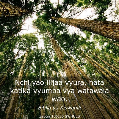 Picture 03 - Zaburi 105:30 SWHULB - Nchi yao ilijaa vyura, hata katika vyumba vya - Bible Verse Picture