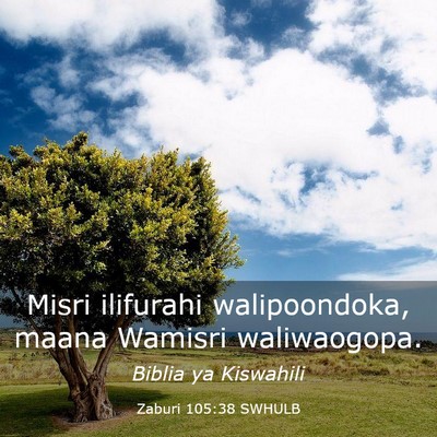 Picture 03 - Zaburi 105:38 SWHULB - Misri ilifurahi walipoondoka, maana Wamisri - Bible Verse Picture