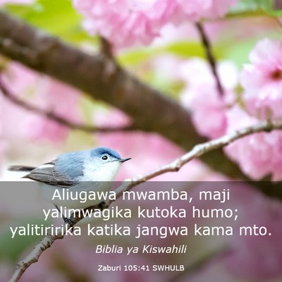 Picture 03 - Zaburi 105:41 SWHULB - Aliugawa mwamba, maji yalimwagika kutoka humo; - Bible Verse Picture