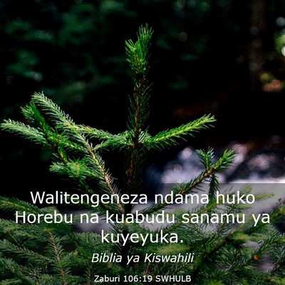 Picture 03 - Zaburi 106:19 SWHULB - Walitengeneza ndama huko Horebu na kuabudu sanamu - Bible Verse Picture
