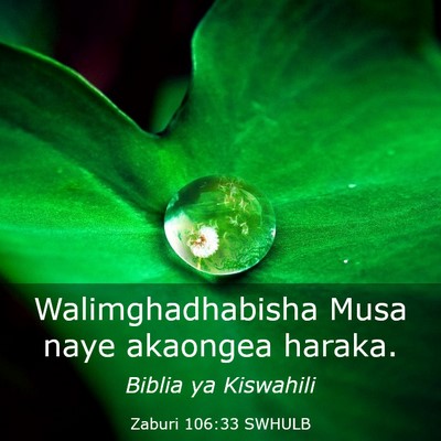 Picture 03 - Zaburi 106:33 SWHULB - Walimghadhabisha Musa naye akaongea - Bible Verse Picture