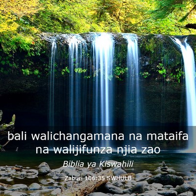 Picture 03 - Zaburi 106:35 SWHULB - bali walichangamana na mataifa na walijifunza - Bible Verse Picture